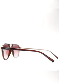 Auris Brown Sunglasses 02
